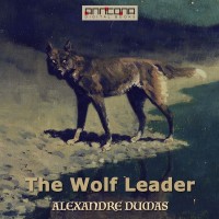 Omslagsbild: The wolf leader av 