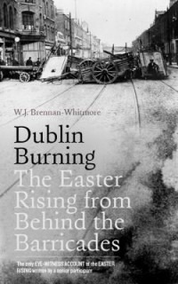 Omslagsbild: Dublin burning av 