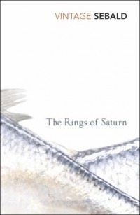 Omslagsbild: The rings of Saturn av 
