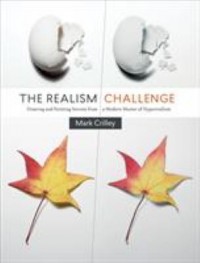 Omslagsbild: The realism challenge av 