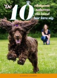 Omslagsbild: De 10 viktigaste sakerna din hund bör lära sig av 