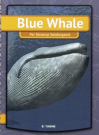 Omslagsbild: Blue whale av 