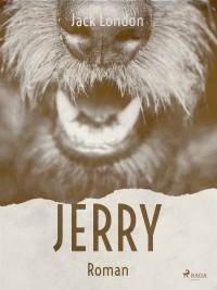 Omslagsbild: Jerry av 