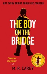 Omslagsbild: The boy on the bridge av 