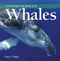 Omslagsbild: Exploring the world of whales av 