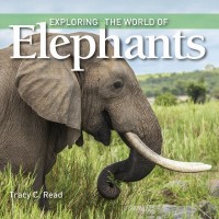 Omslagsbild: Exploring the world of elephants av 