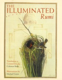 Omslagsbild: The illuminated Rumi av 