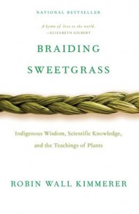 Omslagsbild: Braiding sweetgrass av 