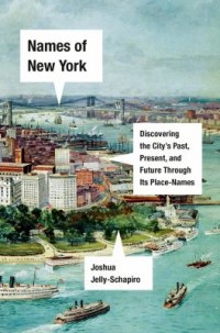 Omslagsbild: Names of New York av 