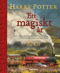 Harry Potter : ett magiskt år