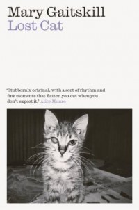 Omslagsbild: Lost cat av 
