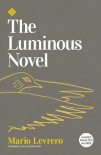 Omslagsbild: The luminous novel av 