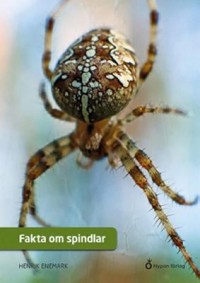Omslagsbild: Fakta om spindlar av 
