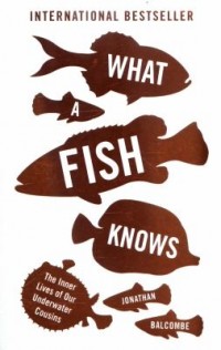 Omslagsbild: What a fish knows av 