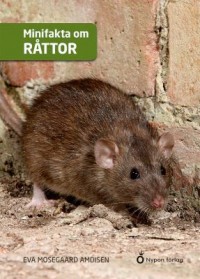 Omslagsbild: Minifakta om råttor av 