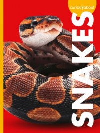 Omslagsbild: Curious about snakes av 