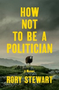 Omslagsbild: How not to be a politician av 