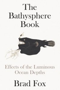 Omslagsbild: The Bathysphere book av 