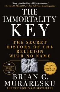Omslagsbild: The immortality key av 