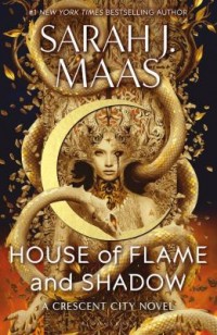 Omslagsbild: House of flame and shadow av 