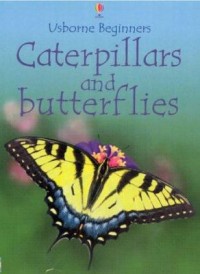 Omslagsbild: Caterpillars and butterflies av 