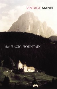 Omslagsbild: The magic mountain av 