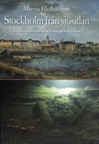 Cover art: Stockholm från sjösidan by 