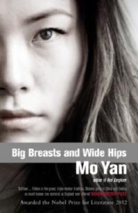 Omslagsbild: Big breasts and wide hips av 