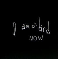 Omslagsbild: I am a bird now av 