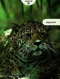Omslagsbild: Jaguarer av 