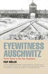 Cover art: Eyewitness Auschwitz by 