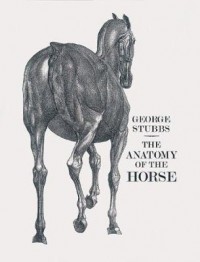 Omslagsbild: The anatomy of the horse av 