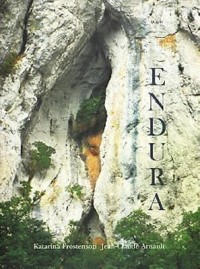 Cover art: Endura by 