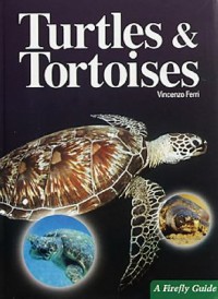 Omslagsbild: Tortoises and turtles av 