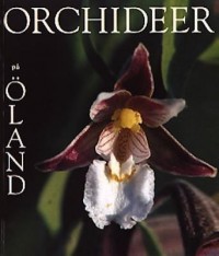 Omslagsbild: Orchideer på Öland av 