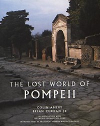 Omslagsbild: The lost world of Pompeii av 