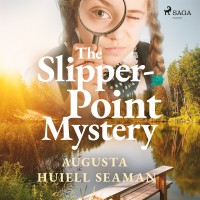 Omslagsbild: The Slipper Point mystery av 