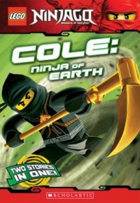 Omslagsbild: Cole - Ninja of Earth av 