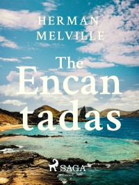 Omslagsbild: The Encantadas, or, Enchanted isles av 